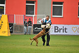 Reunion Constantin Anoubis