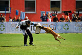 Angry Bird Manlihaus