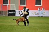 Bullet Mapet