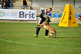 Fiona Marshall Dogs