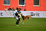 A'Tom Canis Aemona