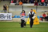 Camino Brillante Blicka