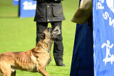 Donar Bestiaras