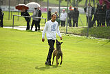Donar Bestiaras
