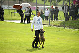 Donar Bestiaras