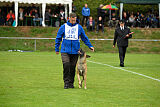 Brave Brisko von den zauberhaften Teufeln