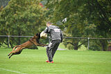 Emmet-Erich