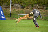 Flash von Malihattan