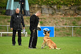 Flash von Malihattan
