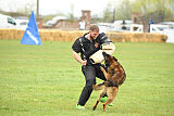 Storm Marinchuk K-9