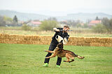 Storm Marinchuk K-9