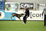 Boomer vom Wolfsdreieck