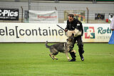 Xmolly vom Wolfsdreieck