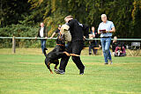 Hero vom Amtsbach