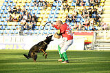 Charlie Bobo z Ditcina dvora