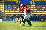 Molinaridogs Johnny