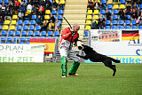T-Lothar vom Hause Meraner