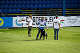 T-Lothar vom Hause Meraner