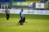 T-Lothar vom Hause Meraner