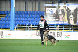 Dooly of Dog training