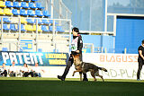 Dooly of Dog training