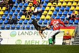Dooly of Dog training