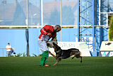 Dooly of Dog training