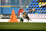Dooly of Dog training