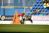Dooly of Dog training