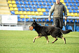 Chicca vom Haus Vax