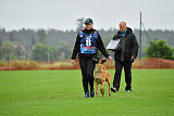 working-dog Hailey