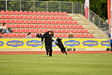 Anton vom Kickersberg