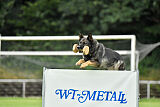 Chapa vom Drachenwolf
