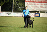 Brise von Elberfeld