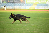 Ares spod Cerenca