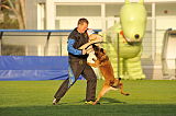 Visszhang Cirko