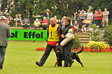 Amboss vom Norderdiek