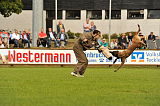 Fred vom Brunsbeker Land