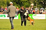 JJ vom Drachenherz