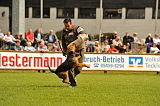 Pepper vom Steinbacher Berg
