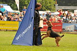 Pepper vom Steinbacher Berg