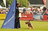Pepper vom Steinbacher Berg