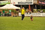 Pepper vom Steinbacher Berg