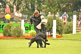 Dax vom Lindelbrunn