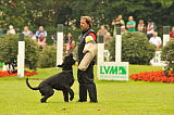 Dax vom Lindelbrunn