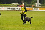 Dax vom Lindelbrunn