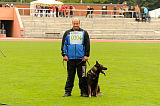 Gino von den wilden Grauen