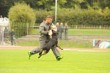 Gino von den wilden Grauen