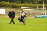 Djuke vom Steinteich