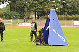 Jesko vom Nesselbach